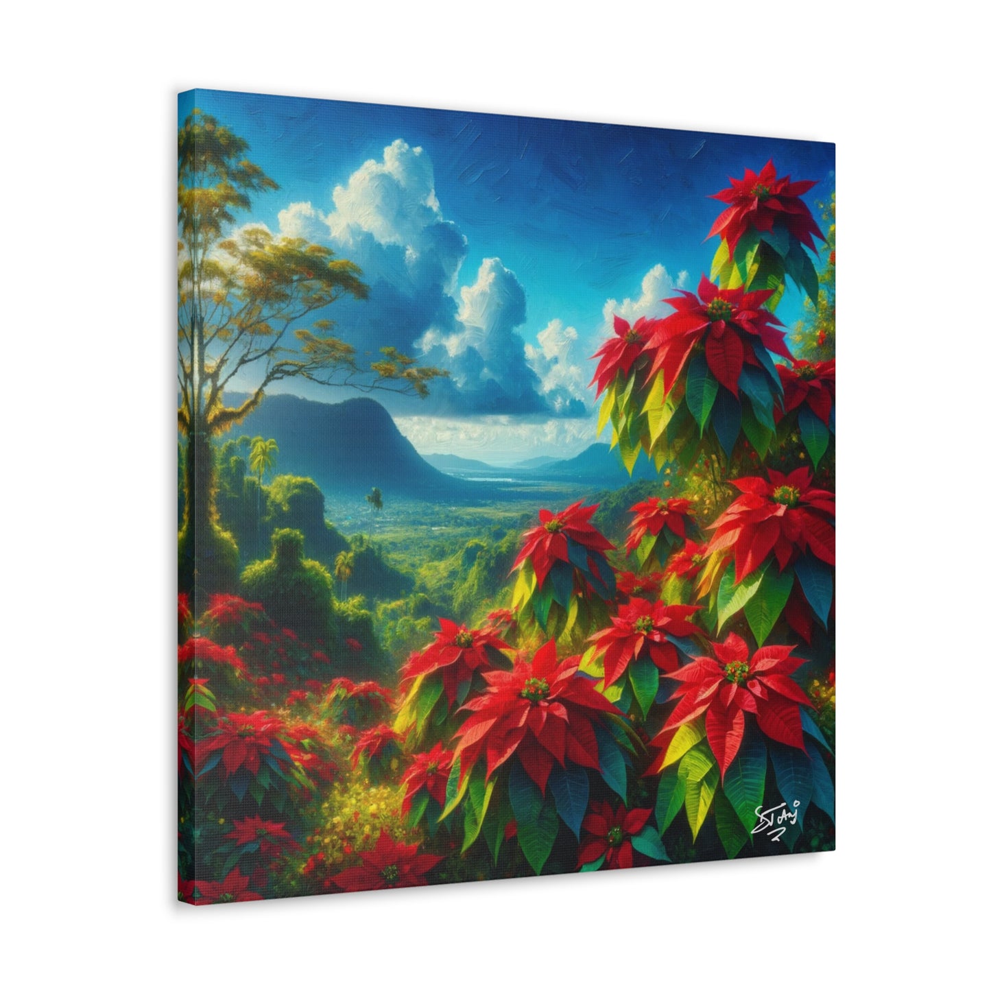 Print #2 of Wild Poinsettia Plants on Sunny Day in the Caribbean, Trinidad and Tobago, Canvas Gallery Wraps