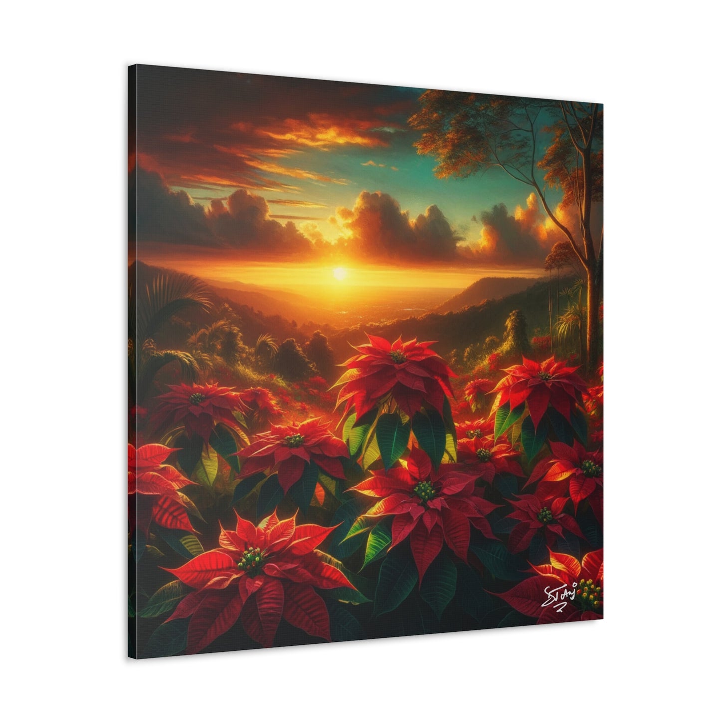 Print #2 of Wild Poinsettia Plants in the Caribbean During Sunset, Trinidad and Tobago, Canvas Gallery Wraps