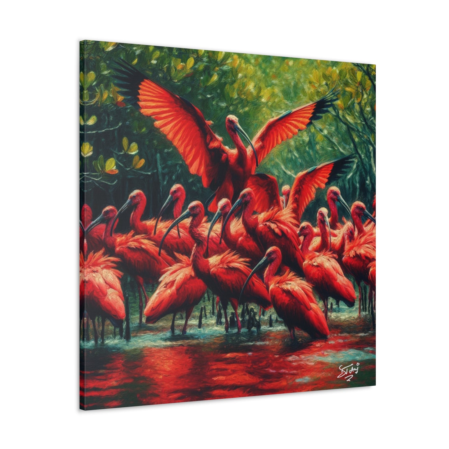 Art Print#3, Scarlet Ibises in Their Natural Mangrove Habitat in Trinidad and Tobago, Caribbean, West Indian Art, Canvas Gallery Wraps