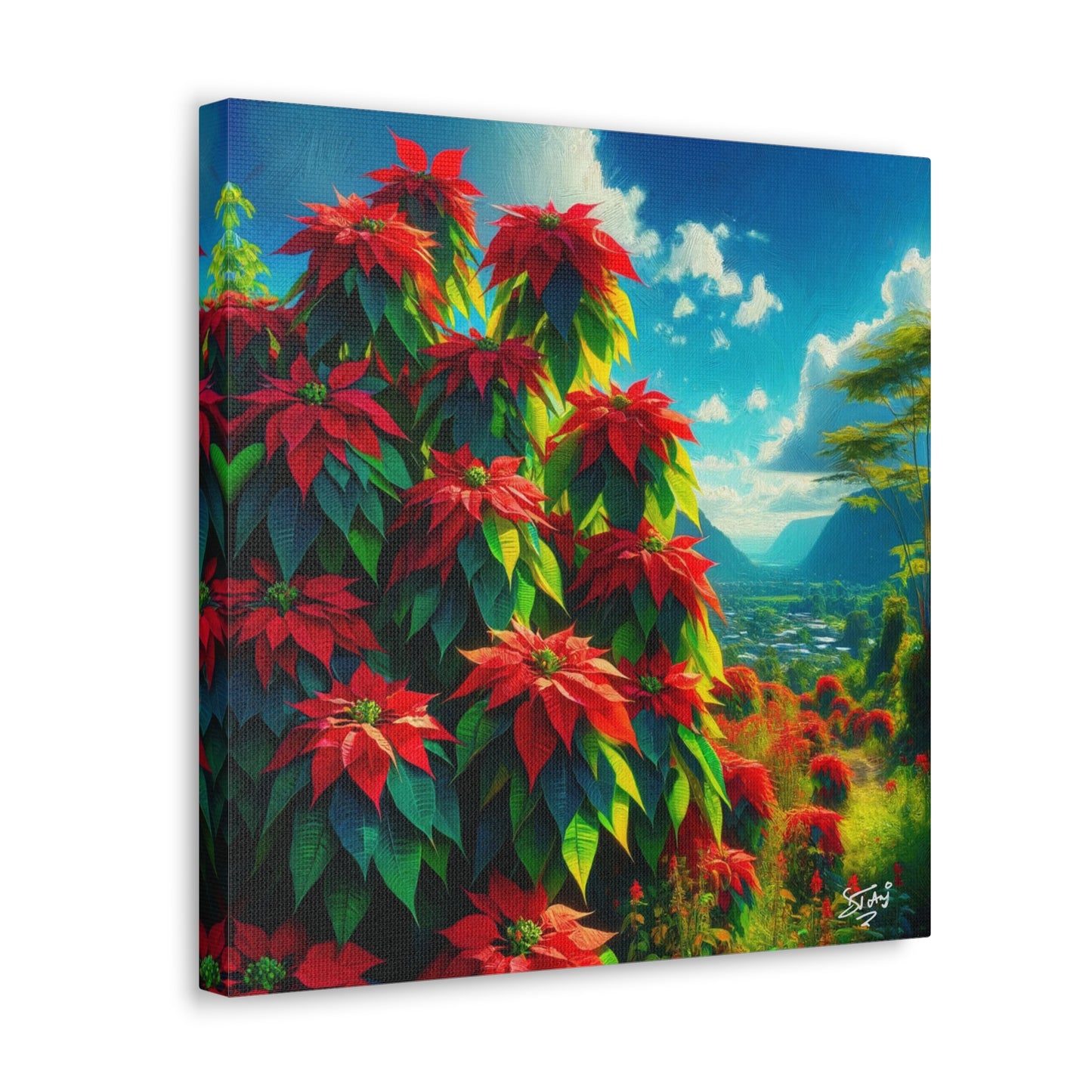 Print of Wild Poinsettia Plants on Sunny Day in the Caribbean, Trinidad and Tobago, Canvas Gallery Wraps