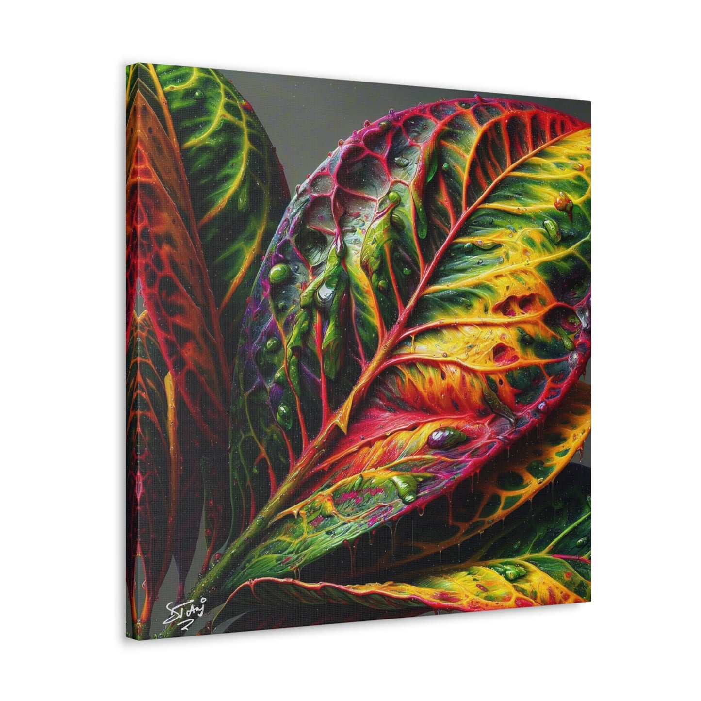 Oil Print#2 of Croton Plant, Close-up, Still Wet from Recent Rain, Caribbean, Tropical Plant, Canvas Gallery Wraps