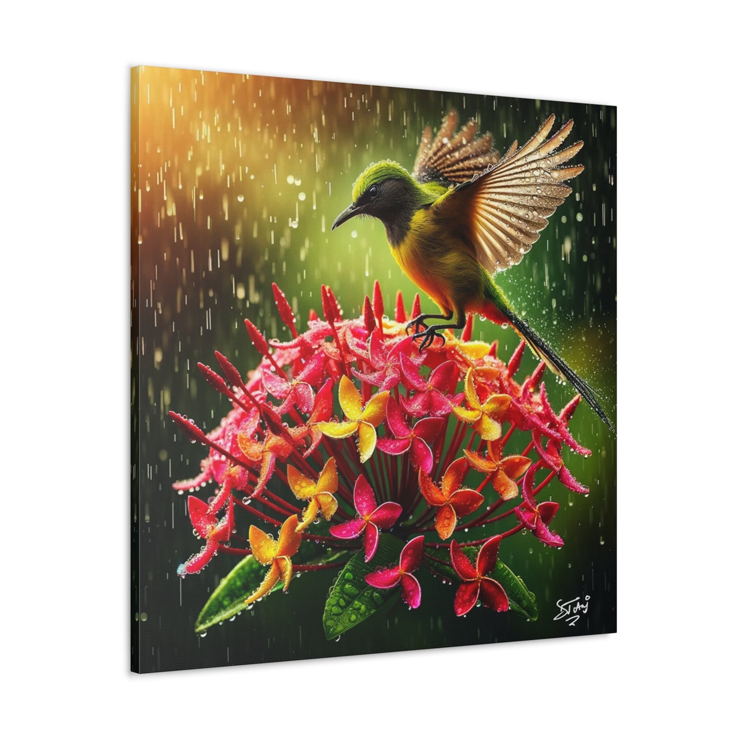 Print#2 of Tropical Bird in the Rain Perched on Ixora Flower, Oil Paint Finish, Caribbean, Tropical, Canvas Gallery Wraps