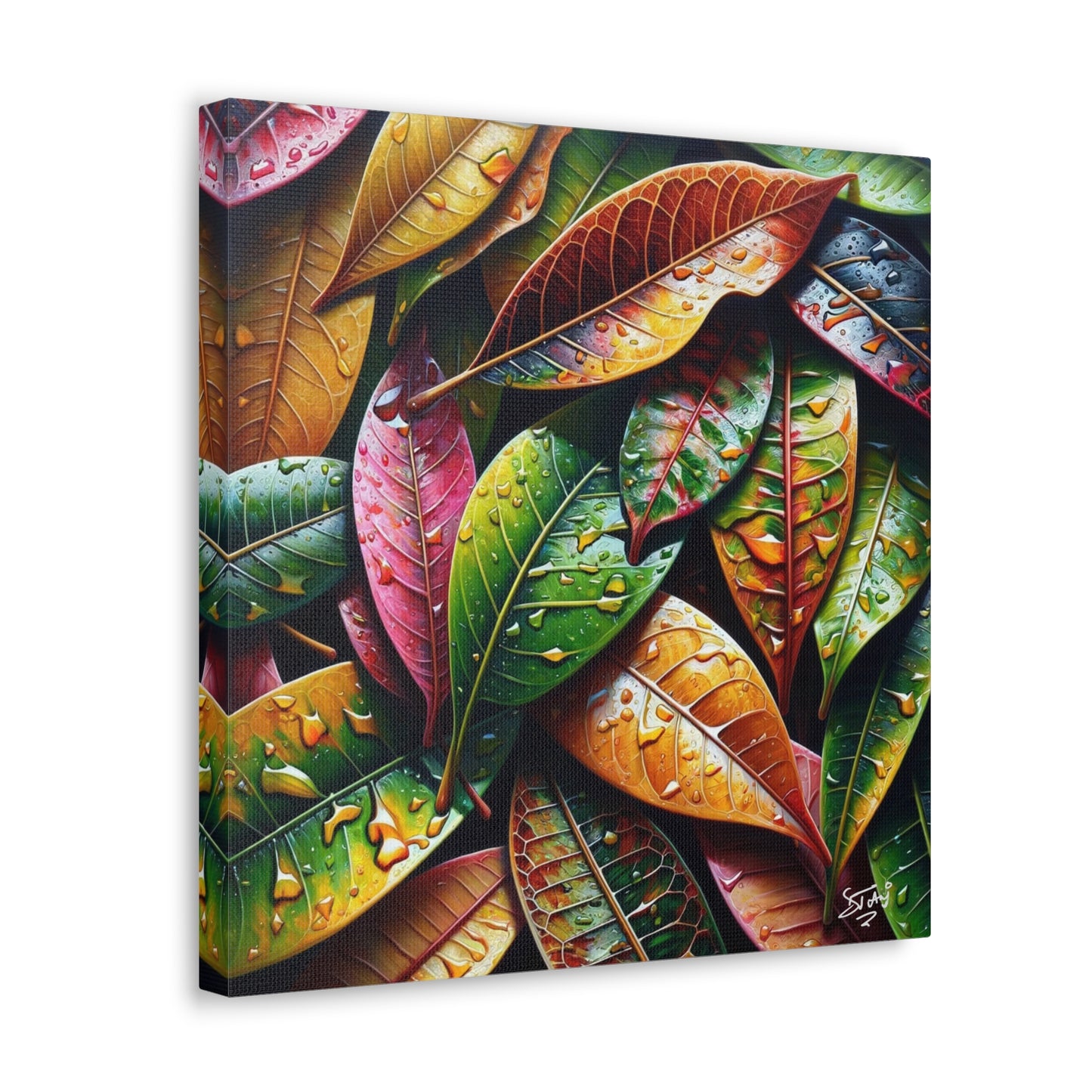 Oil Print#4 of Croton Plant, Close-up, Still Wet from Recent Rain, Caribbean, Tropical Plant, Canvas Gallery Wraps