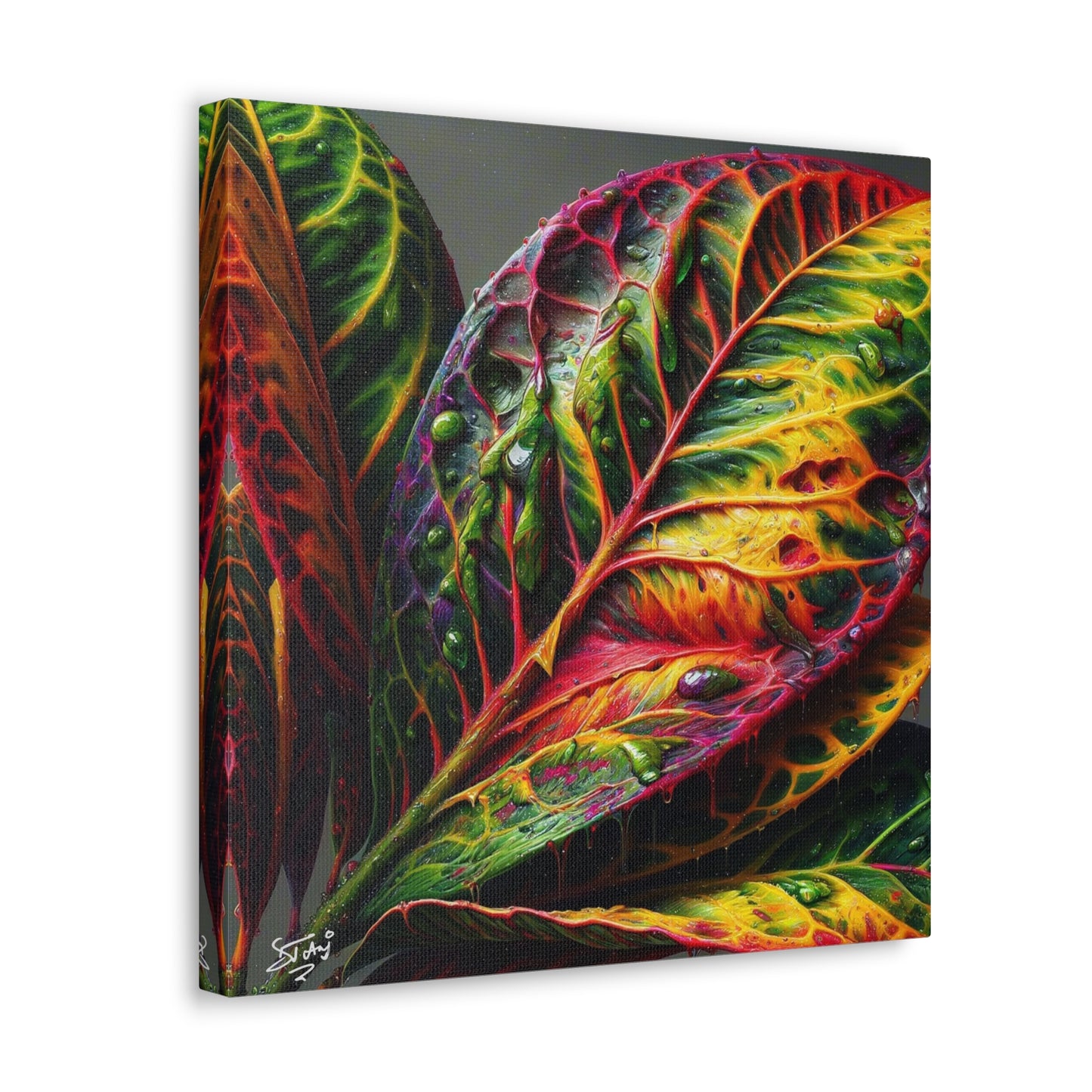 Oil Print#2 of Croton Plant, Close-up, Still Wet from Recent Rain, Caribbean, Tropical Plant, Canvas Gallery Wraps