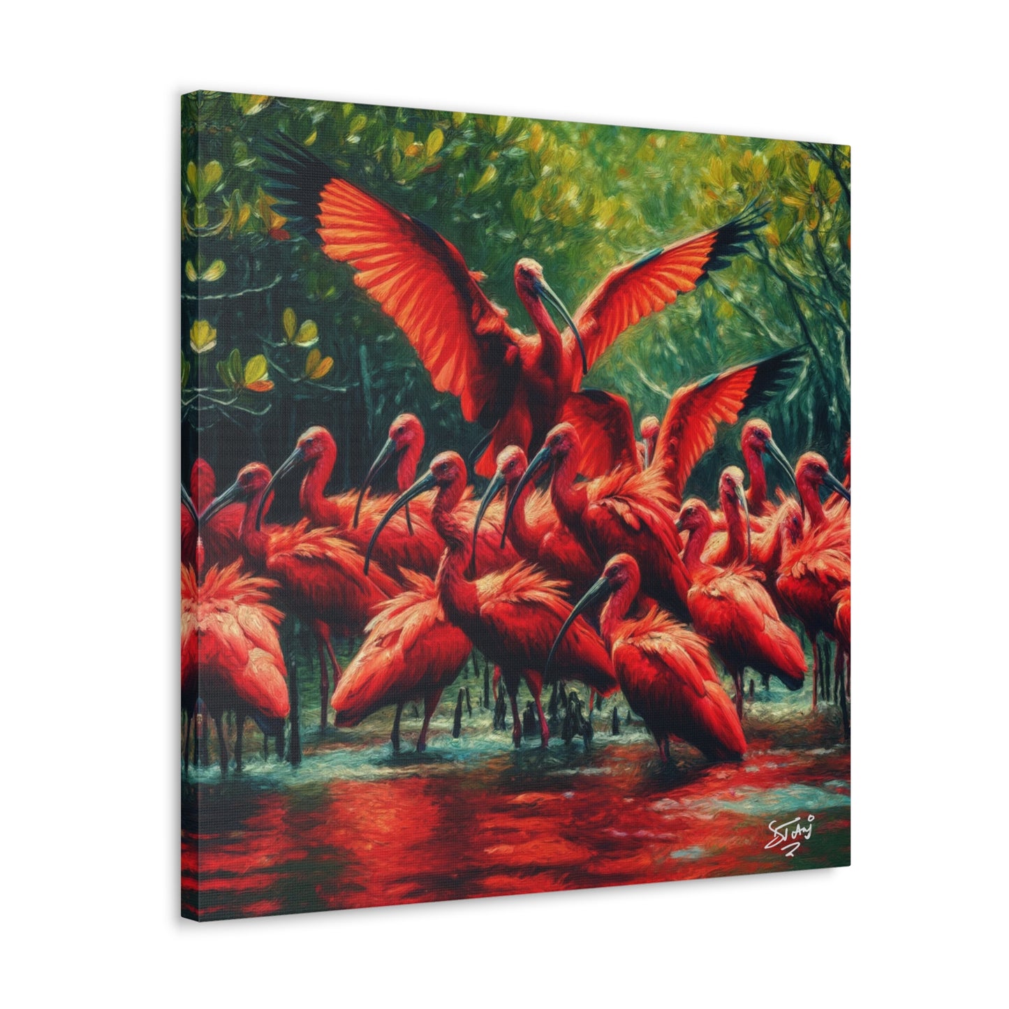 Art Print#3, Scarlet Ibises in Their Natural Mangrove Habitat in Trinidad and Tobago, Caribbean, West Indian Art, Canvas Gallery Wraps