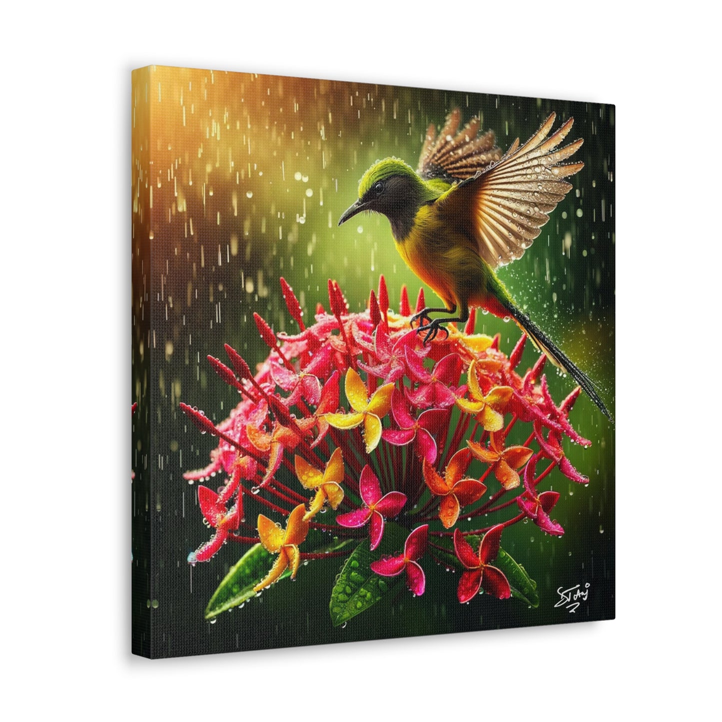 Print#2 of Tropical Bird in the Rain Perched on Ixora Flower, Oil Paint Finish, Caribbean, Tropical, Canvas Gallery Wraps