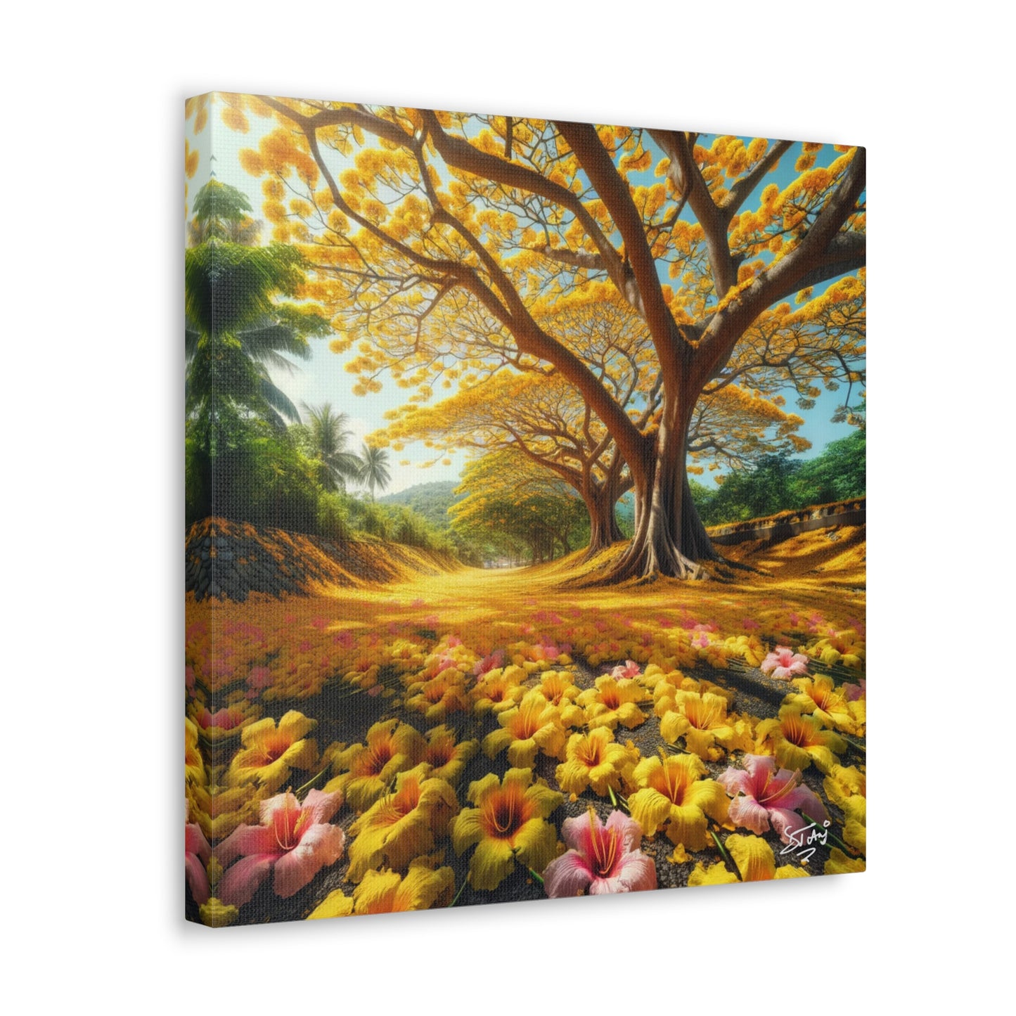 Print of Poui Trees on a sunny day in the Caribbean, Canvas Gallery Wraps