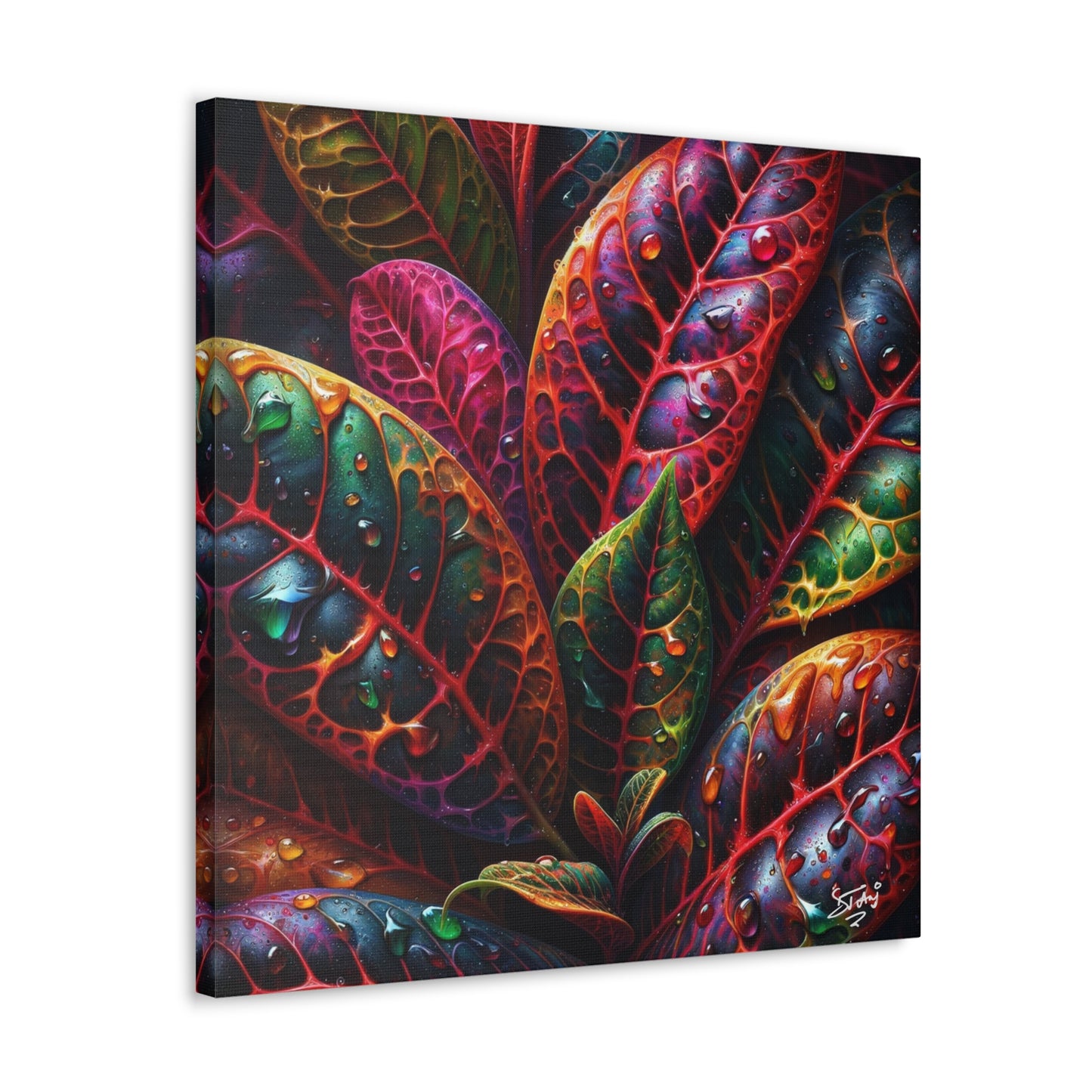 Oil Print#3 of Croton Plant, Close-up, Still Wet from Recent Rain, Caribbean, Tropical Plant, Canvas Gallery Wraps