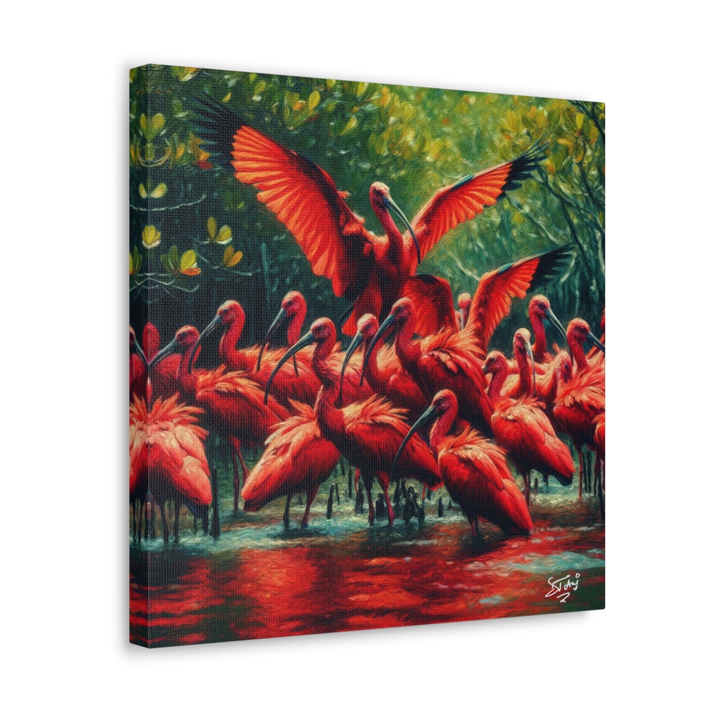 Art Print#3, Scarlet Ibises in Their Natural Mangrove Habitat in Trinidad and Tobago, Caribbean, West Indian Art, Canvas Gallery Wraps