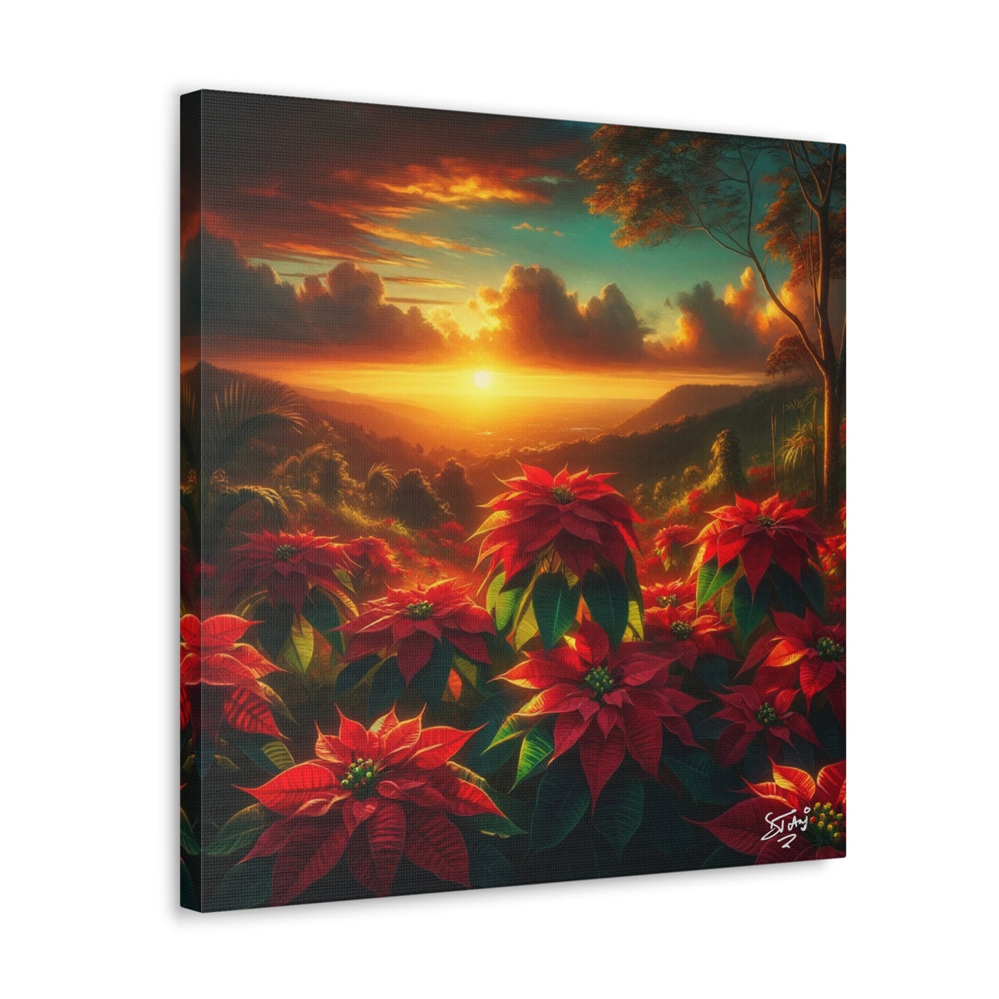 Print #2 of Wild Poinsettia Plants in the Caribbean During Sunset, Trinidad and Tobago, Canvas Gallery Wraps