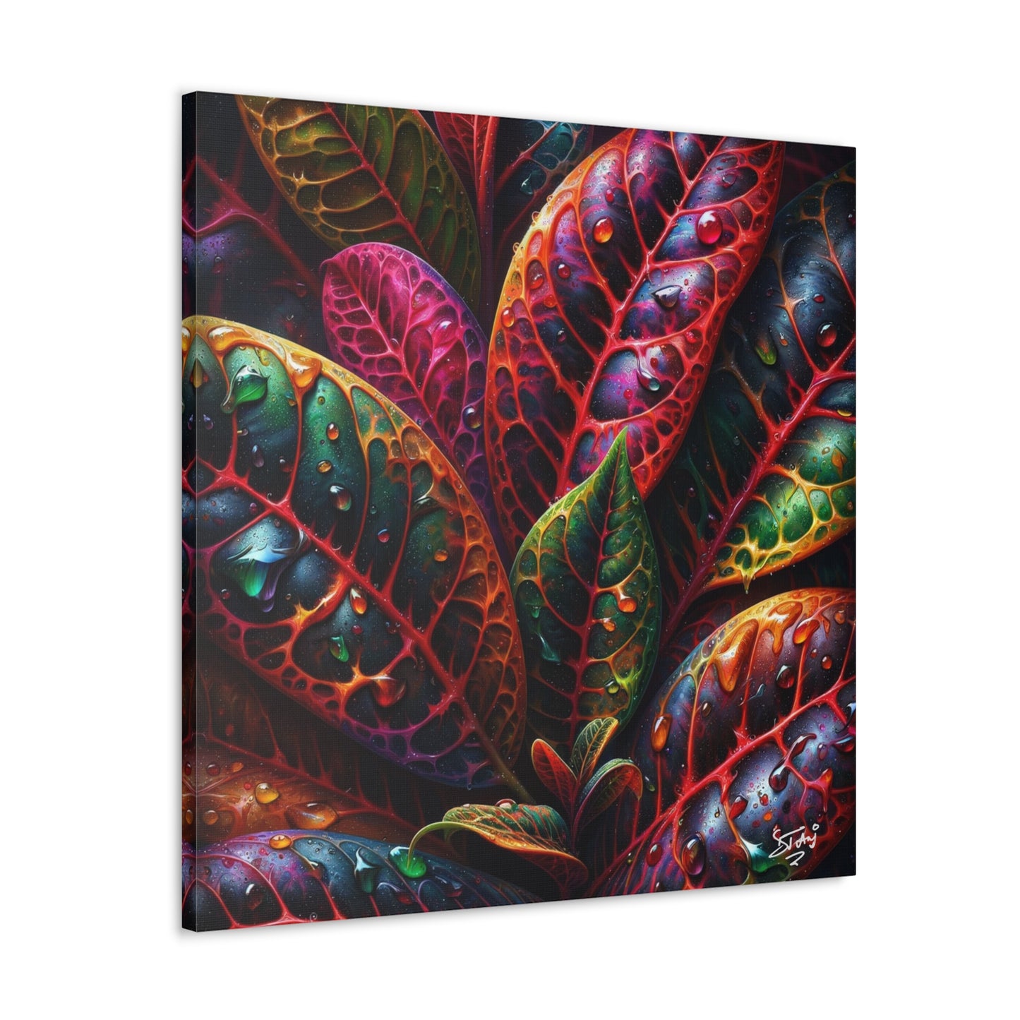 Oil Print#3 of Croton Plant, Close-up, Still Wet from Recent Rain, Caribbean, Tropical Plant, Canvas Gallery Wraps