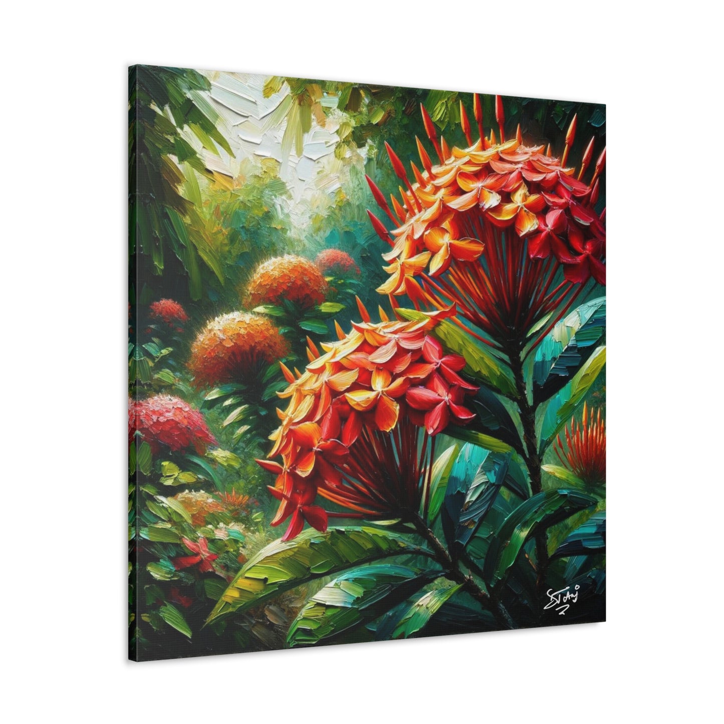 Art Print of Ixora Flowers, Oil Finish, West Indian Art, Canvas Gallery Wraps