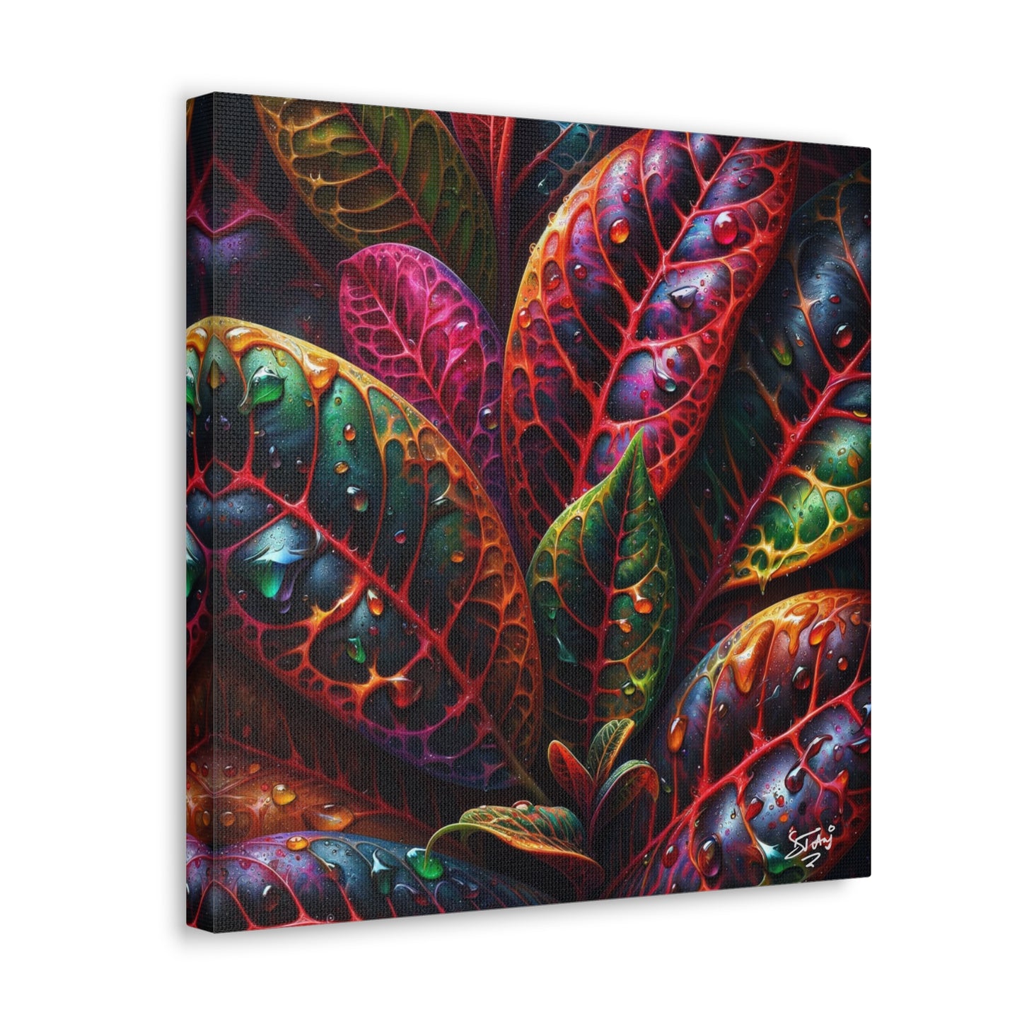 Oil Print#3 of Croton Plant, Close-up, Still Wet from Recent Rain, Caribbean, Tropical Plant, Canvas Gallery Wraps