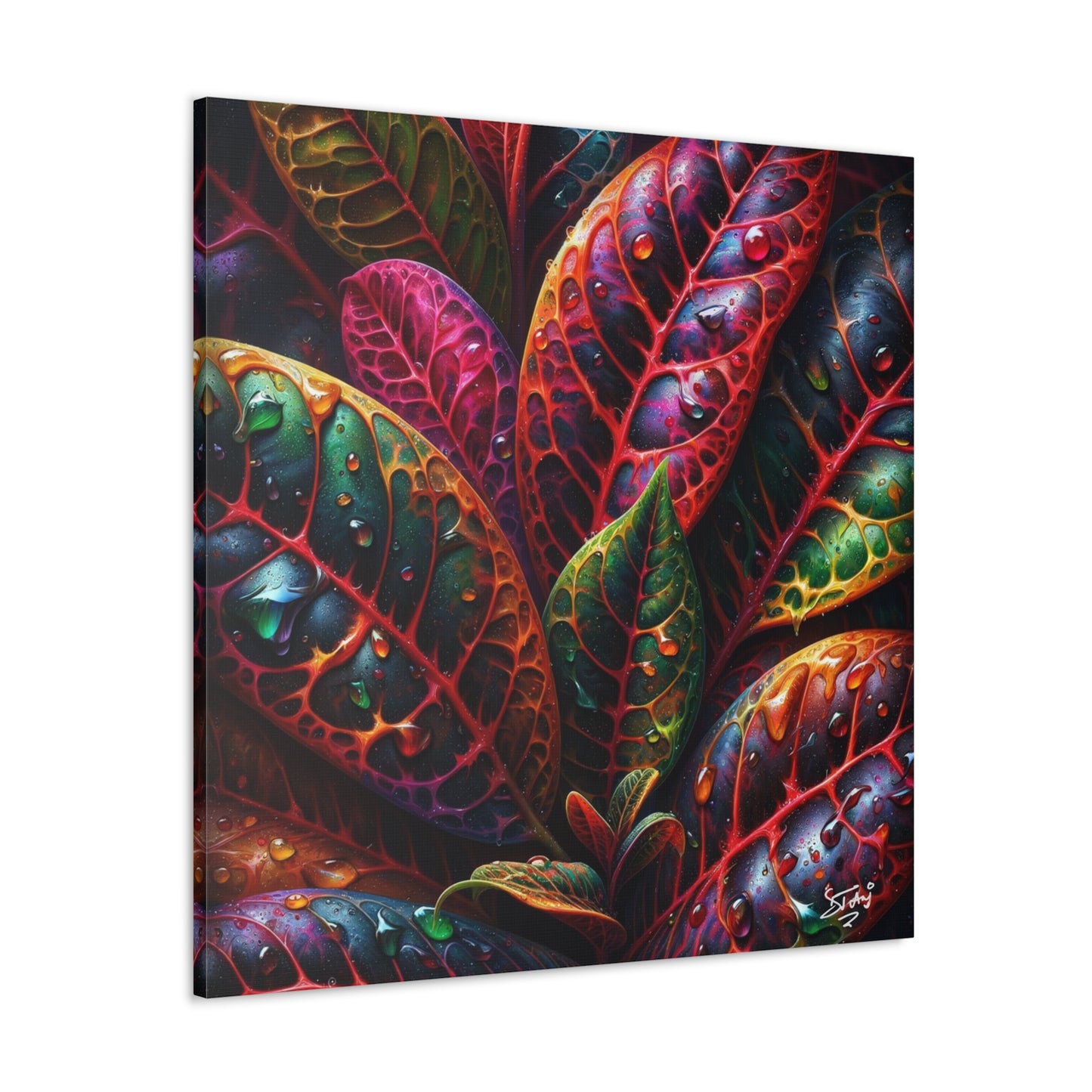 Oil Print#3 of Croton Plant, Close-up, Still Wet from Recent Rain, Caribbean, Tropical Plant, Canvas Gallery Wraps