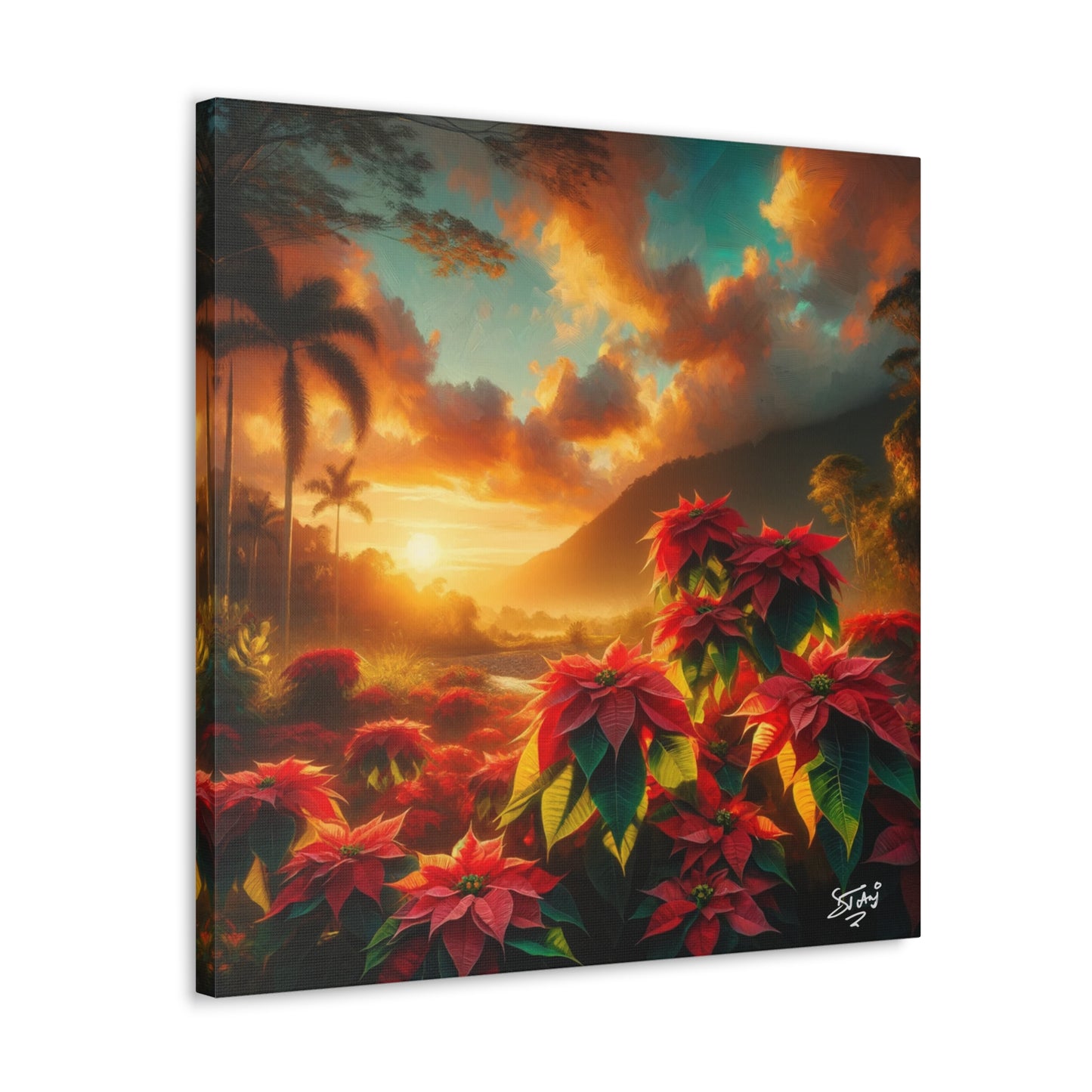 Print of Wild Poinsettia Plants in the Caribbean During Sunset, Trinidad and Tobago, Canvas Gallery Wraps