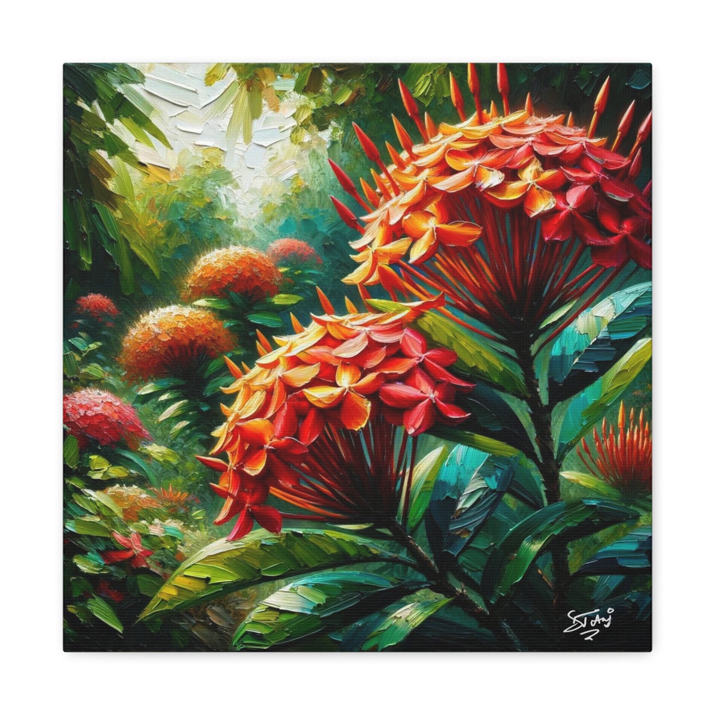 Art Print of Ixora Flowers, Oil Finish, West Indian Art, Canvas Gallery Wraps