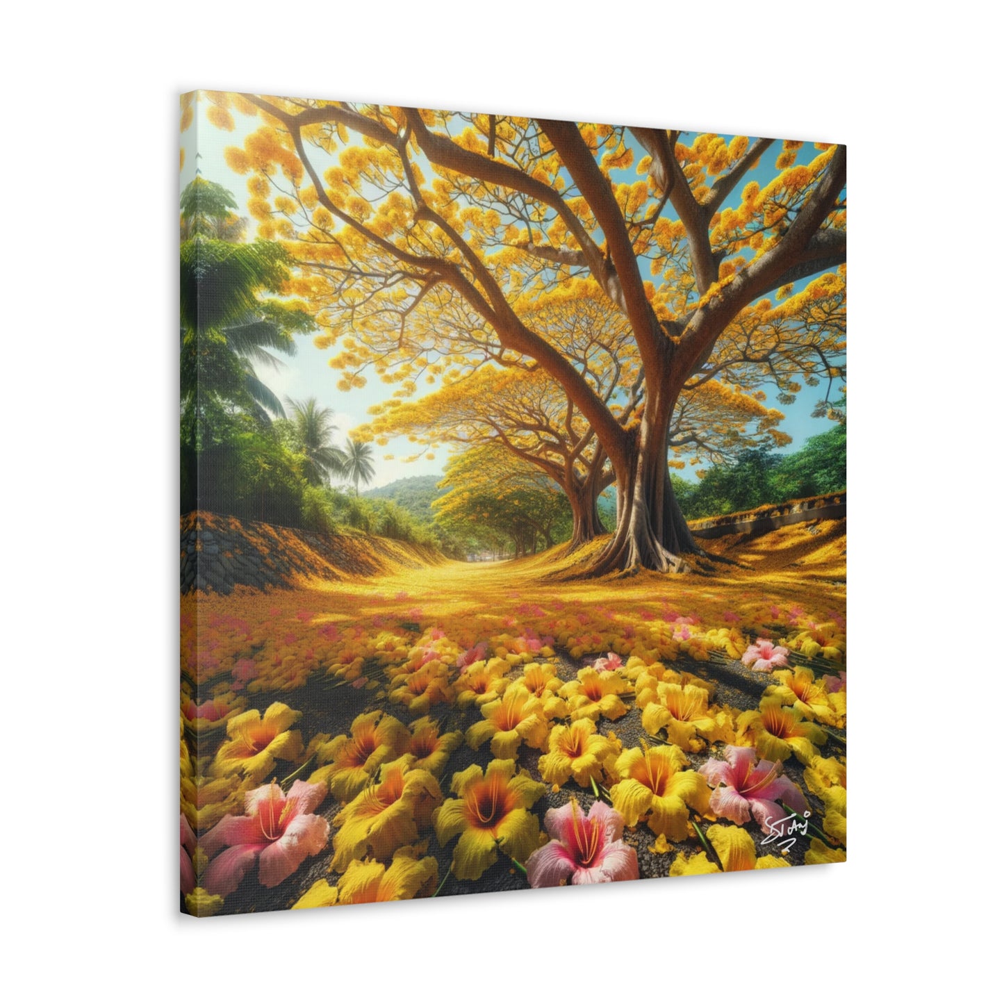 Print of Poui Trees on a sunny day in the Caribbean, Canvas Gallery Wraps