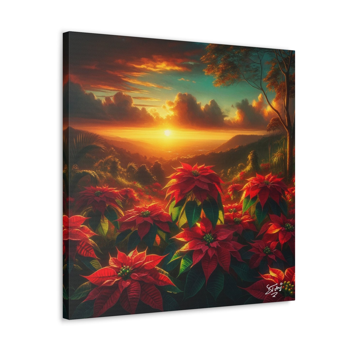 Print #2 of Wild Poinsettia Plants in the Caribbean During Sunset, Trinidad and Tobago, Canvas Gallery Wraps