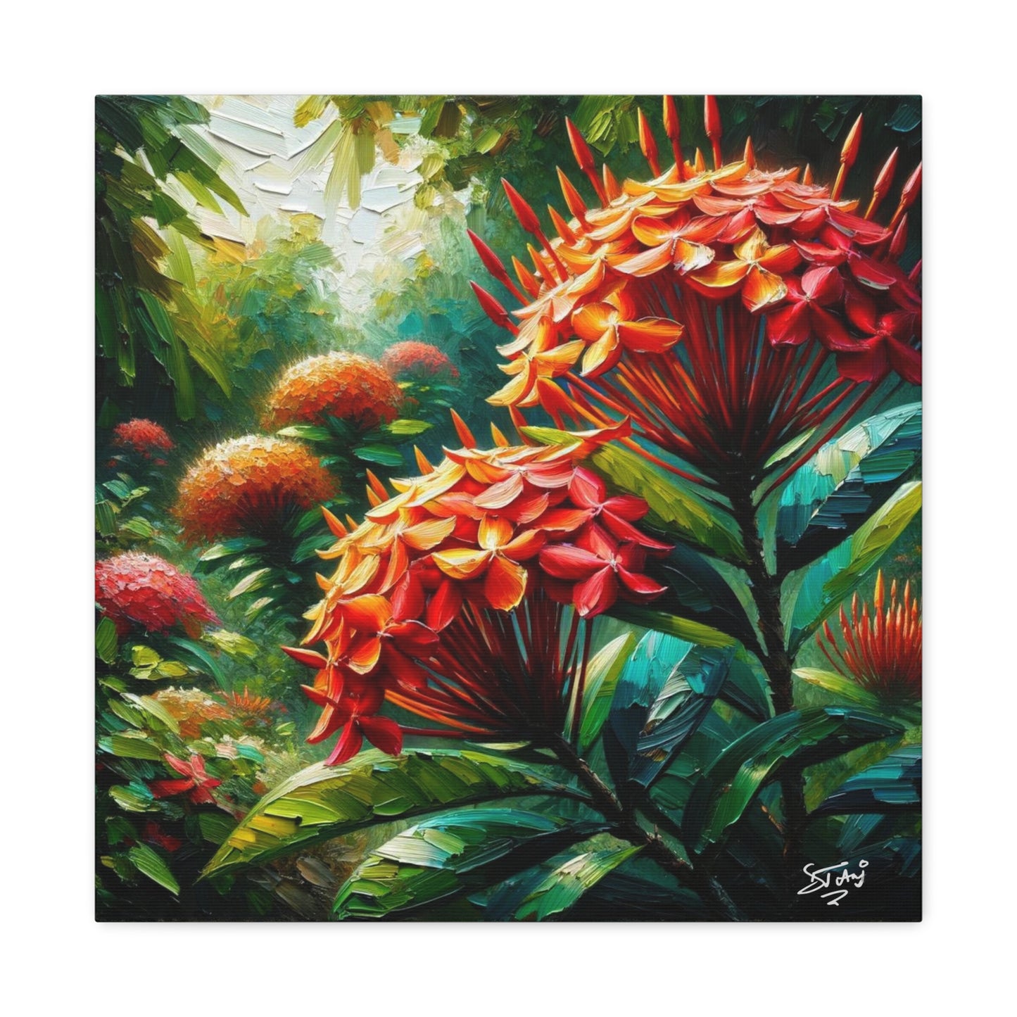 Art Print of Ixora Flowers, Oil Finish, West Indian Art, Canvas Gallery Wraps