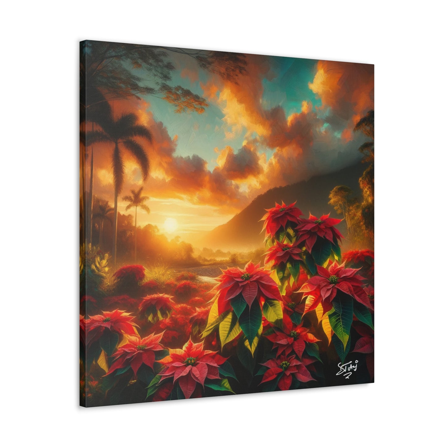 Print of Wild Poinsettia Plants in the Caribbean During Sunset, Trinidad and Tobago, Canvas Gallery Wraps