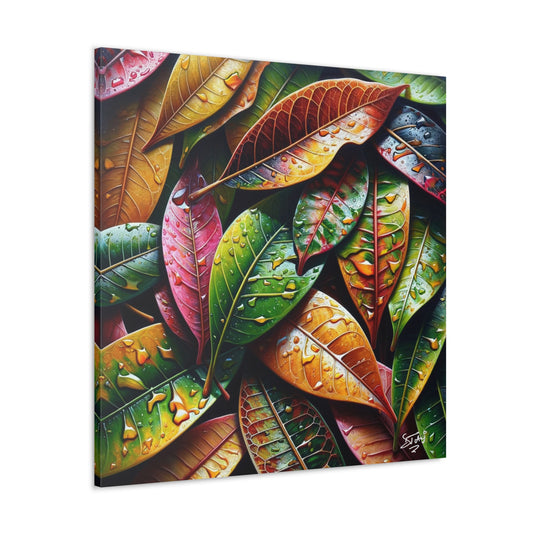 Oil Print#4 of Croton Plant, Close-up, Still Wet from Recent Rain, Caribbean, Tropical Plant, Canvas Gallery Wraps