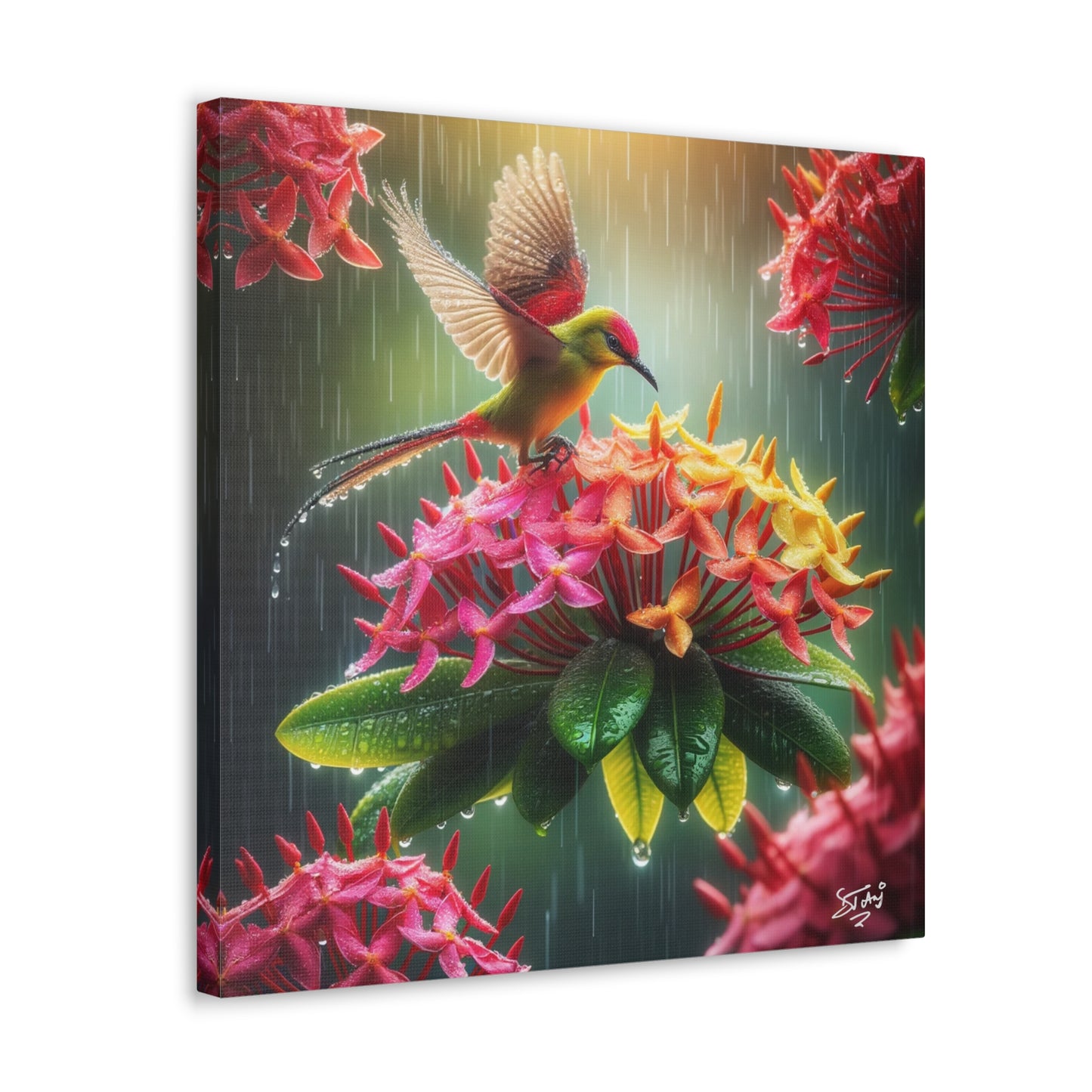 Print of Tropical Bird in the Rain Perched on Ixora Flower, Oil Paint Finish, Caribbean, Tropical, Canvas Gallery Wraps