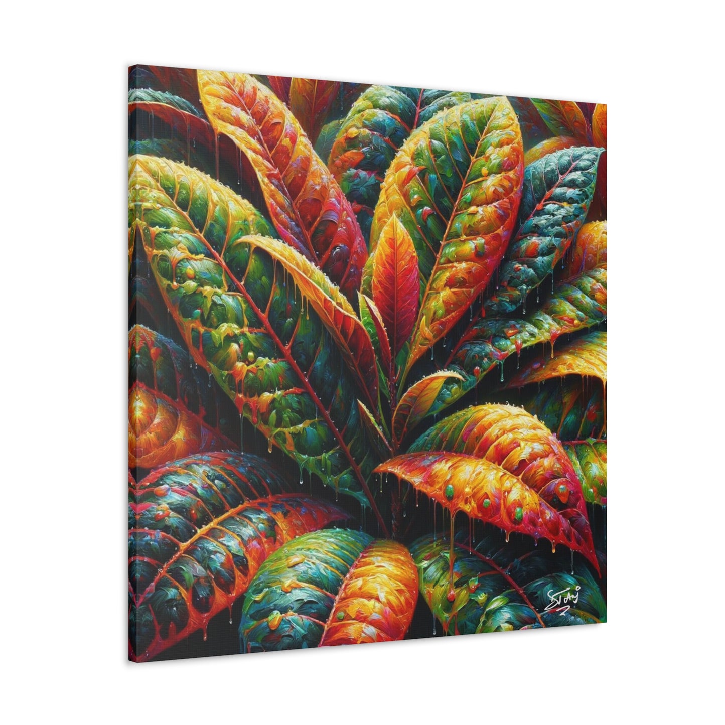 Art Print of Croton Plant, Oil Finish, West Indian Art, Canvas Gallery Wraps