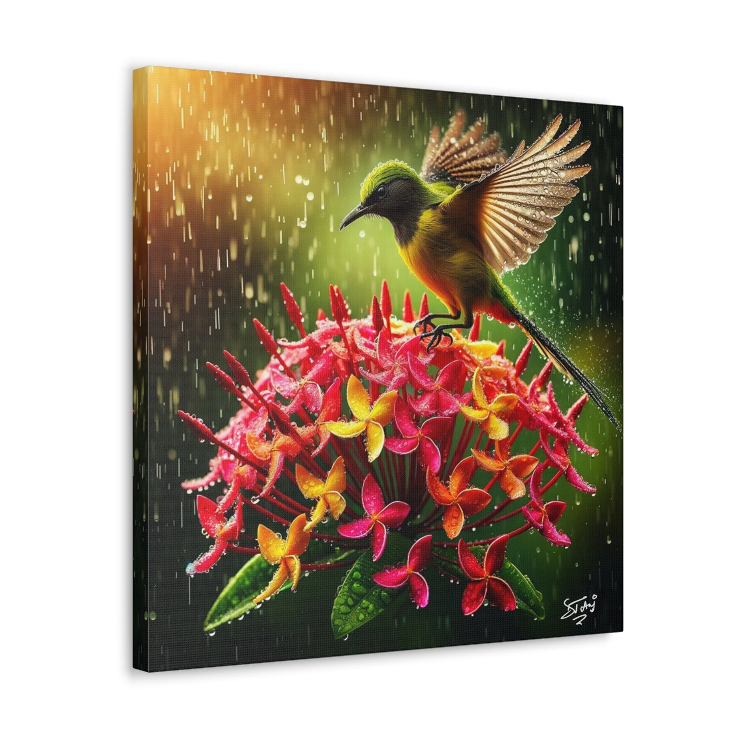 Print#2 of Tropical Bird in the Rain Perched on Ixora Flower, Oil Paint Finish, Caribbean, Tropical, Canvas Gallery Wraps