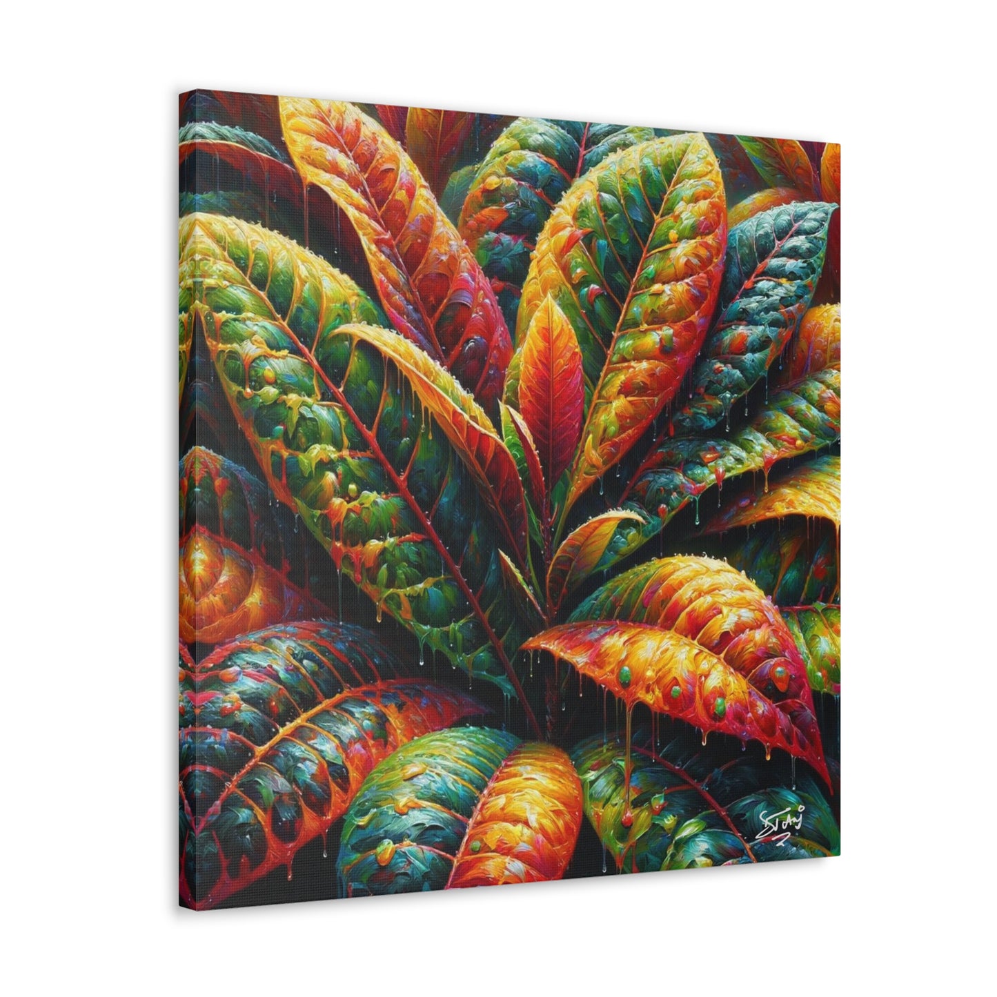 Art Print of Croton Plant, Oil Finish, West Indian Art, Canvas Gallery Wraps