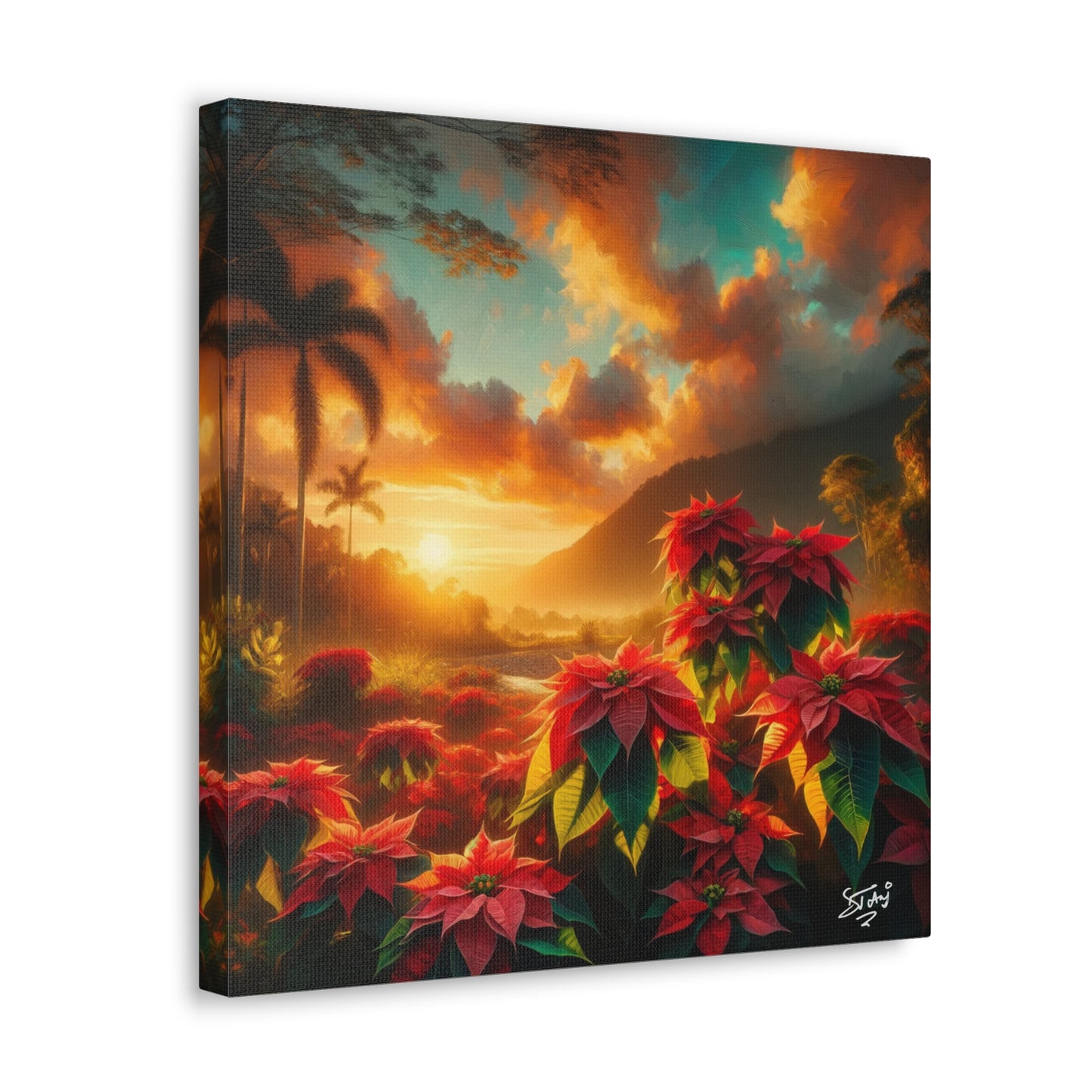 Print of Wild Poinsettia Plants in the Caribbean During Sunset, Trinidad and Tobago, Canvas Gallery Wraps