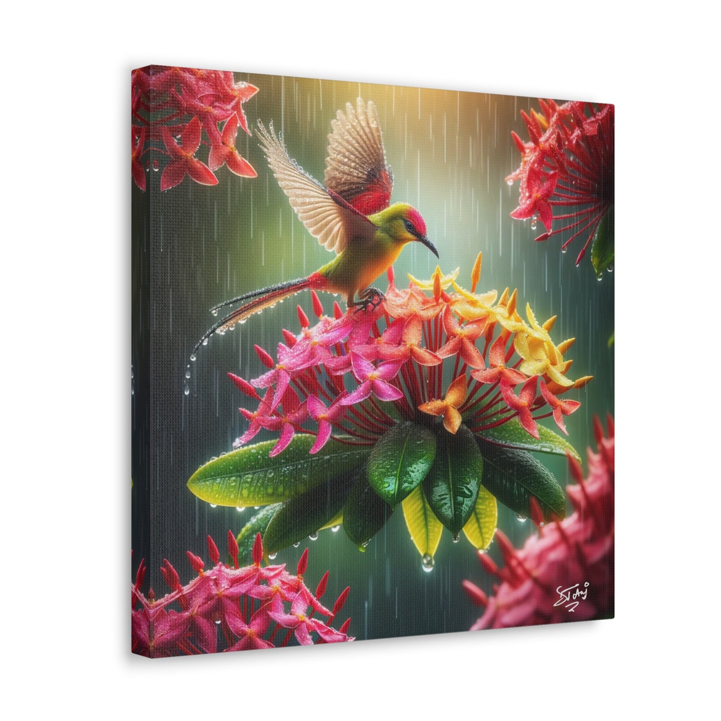 Print of Tropical Bird in the Rain Perched on Ixora Flower, Oil Paint Finish, Caribbean, Tropical, Canvas Gallery Wraps