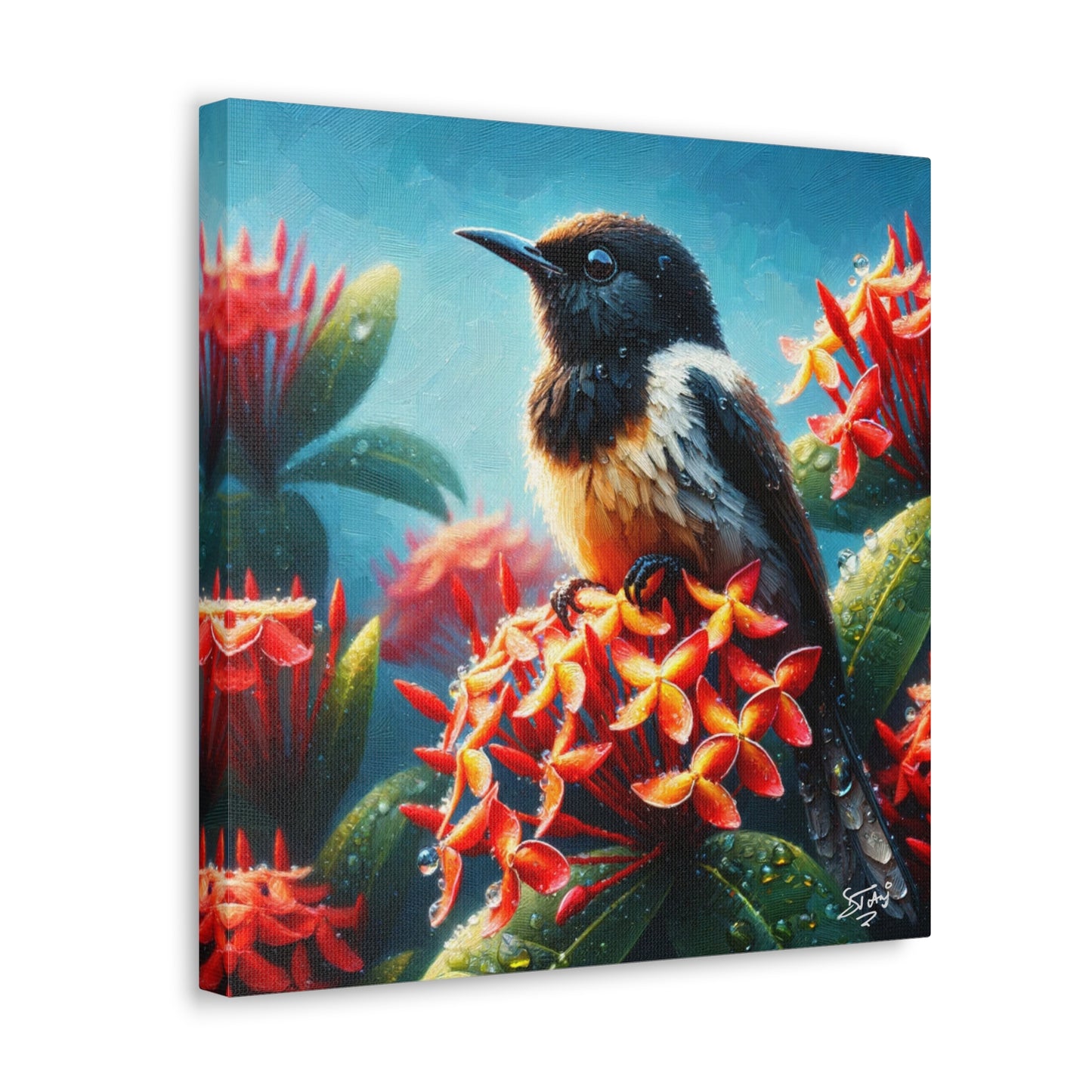 Print of Redstart Perched on Ixora Flower, Oil Paint Finish, Caribbean, Tropical, Canvas Gallery Wraps