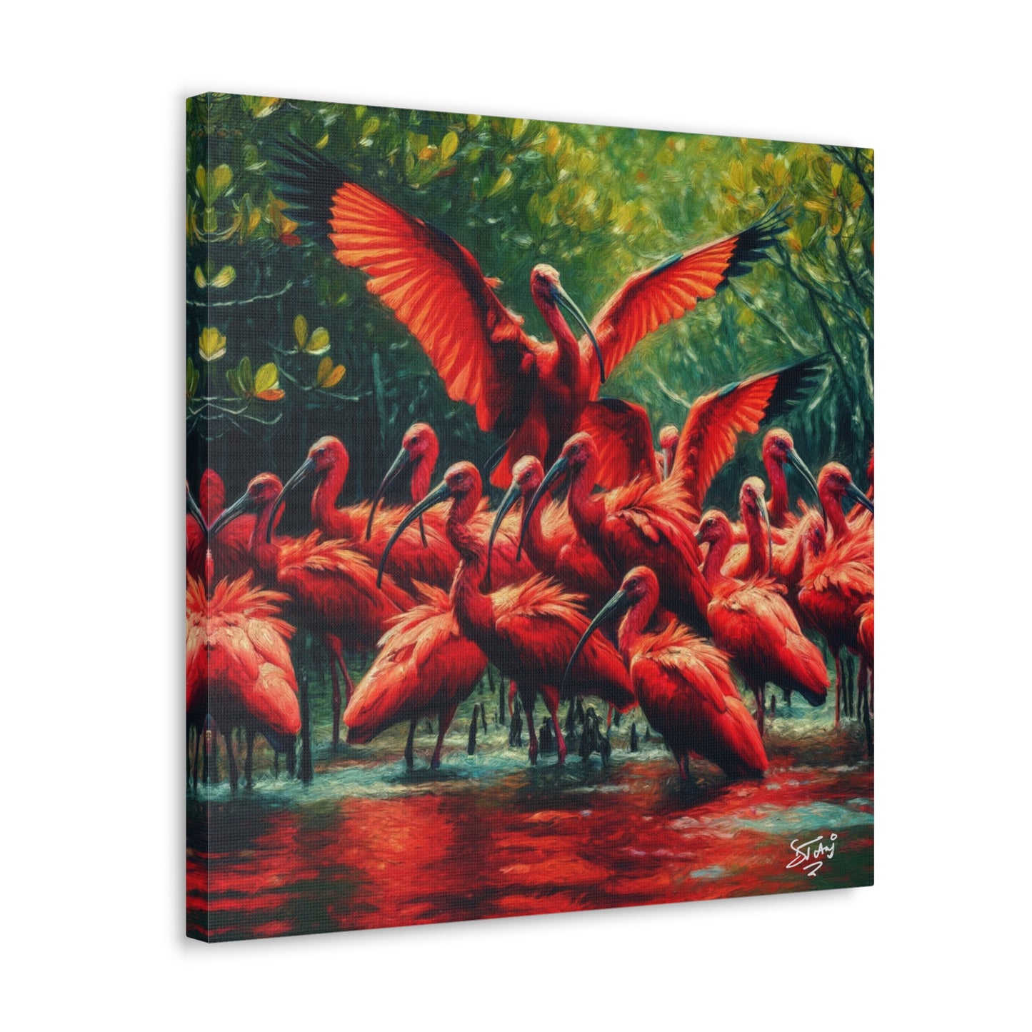 Art Print#3, Scarlet Ibises in Their Natural Mangrove Habitat in Trinidad and Tobago, Caribbean, West Indian Art, Canvas Gallery Wraps