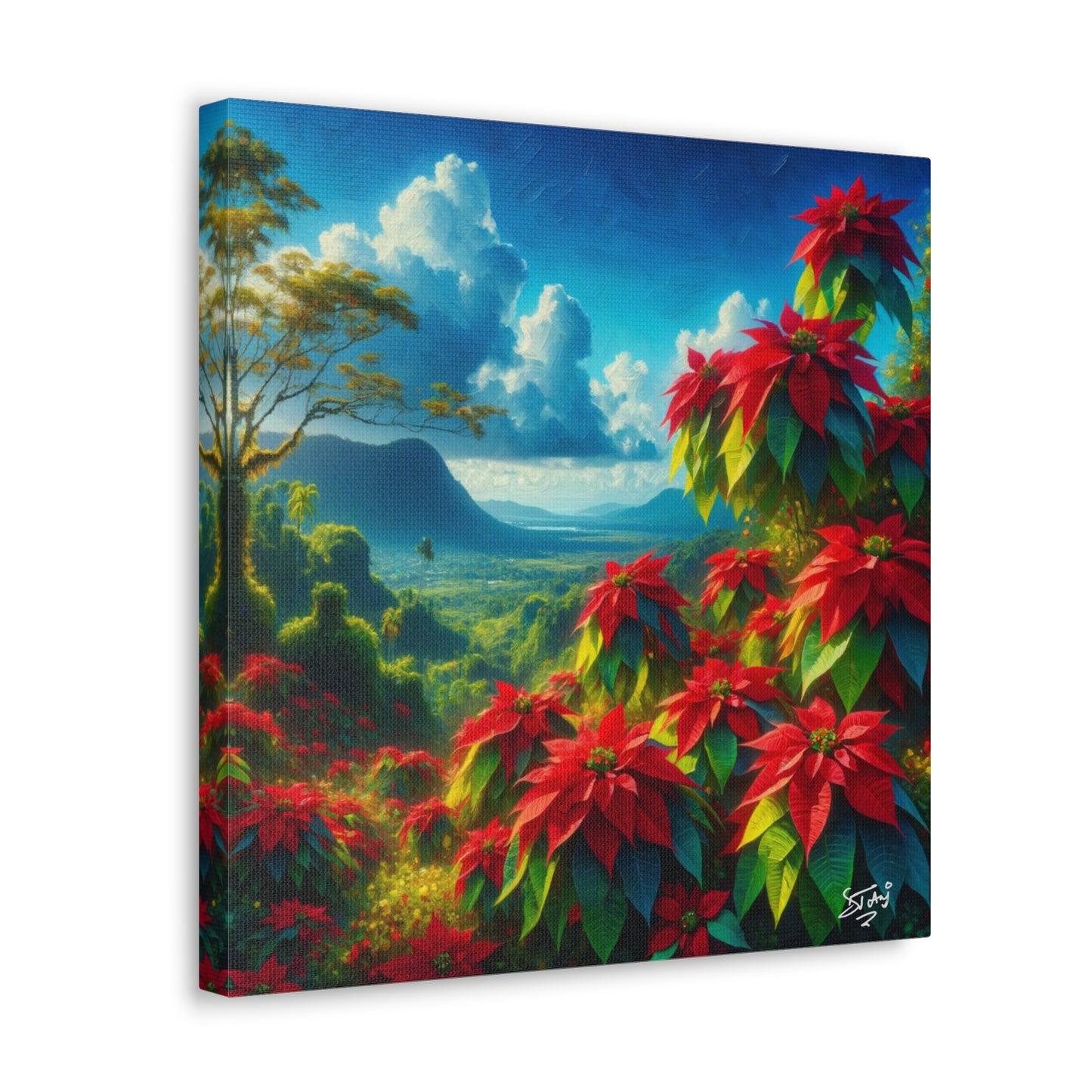 Print #2 of Wild Poinsettia Plants on Sunny Day in the Caribbean, Trinidad and Tobago, Canvas Gallery Wraps