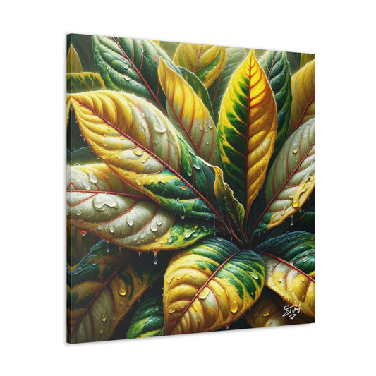 Oil Print of Croton Plant, Close-up, Still Wet from Recent Rain, Caribbean, Tropical Plant, Canvas Gallery Wraps