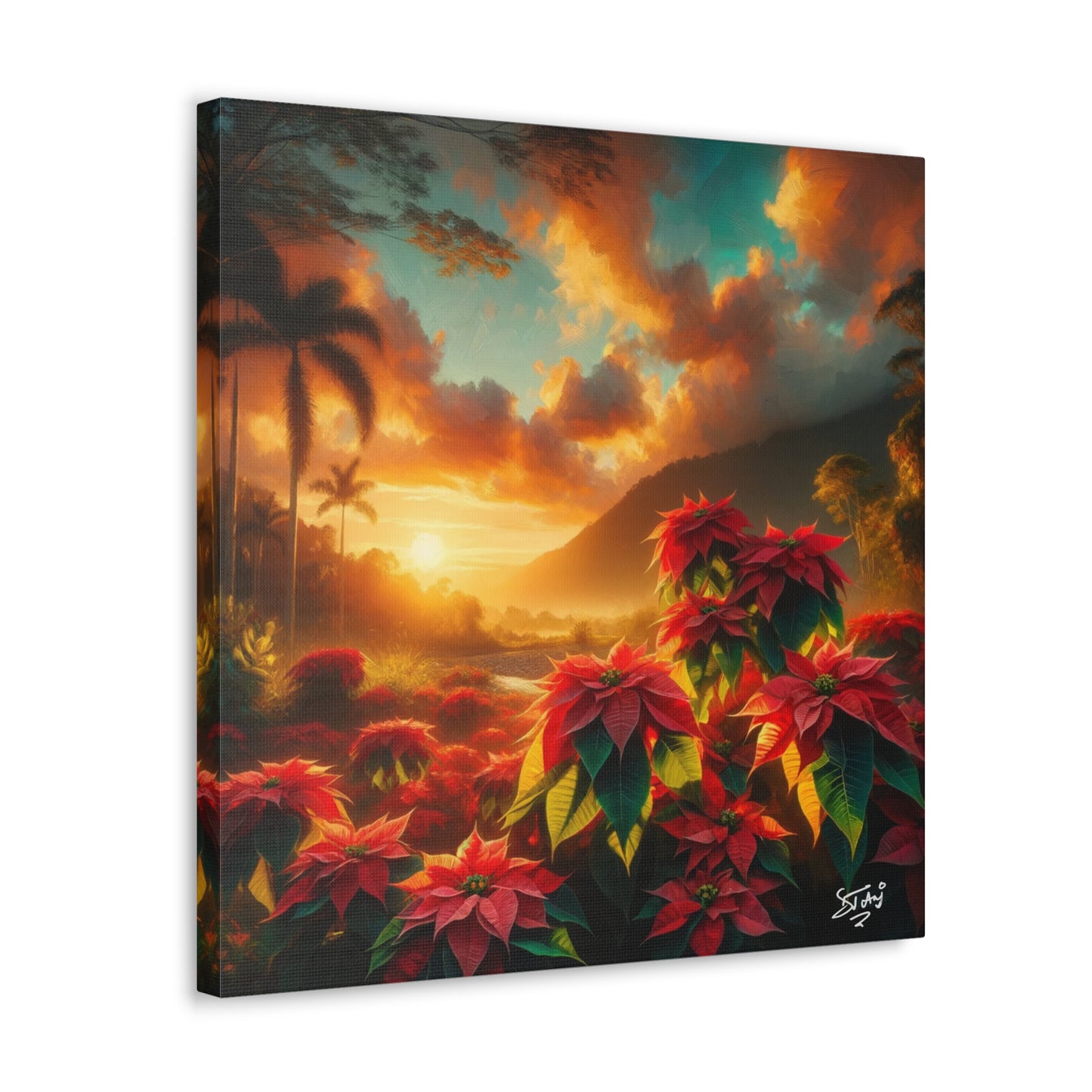 Print of Wild Poinsettia Plants in the Caribbean During Sunset, Trinidad and Tobago, Canvas Gallery Wraps