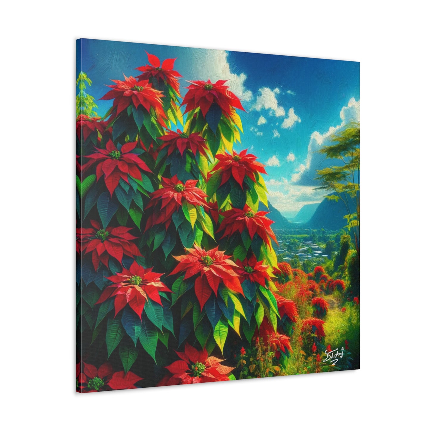 Print of Wild Poinsettia Plants on Sunny Day in the Caribbean, Trinidad and Tobago, Canvas Gallery Wraps