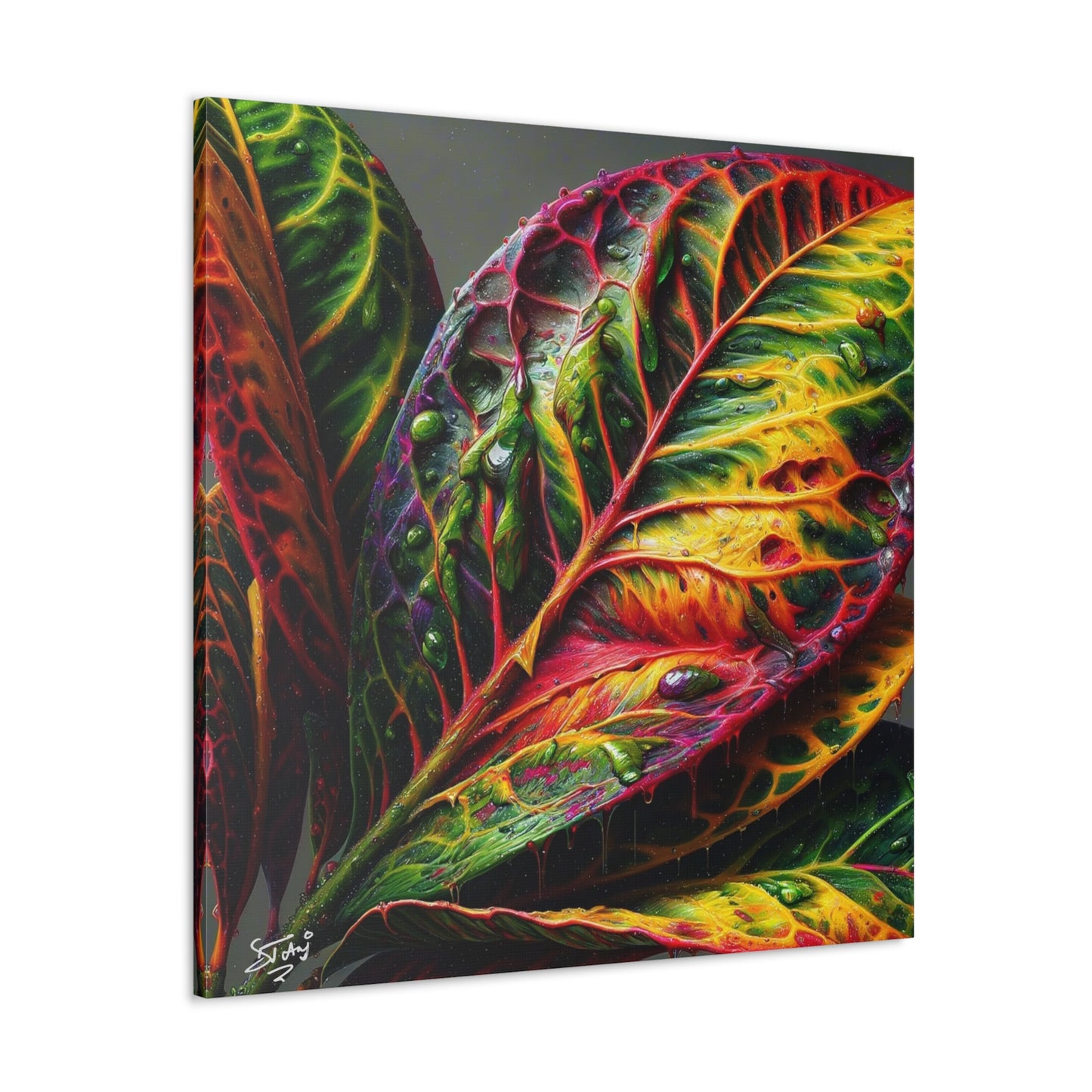 Oil Print#2 of Croton Plant, Close-up, Still Wet from Recent Rain, Caribbean, Tropical Plant, Canvas Gallery Wraps