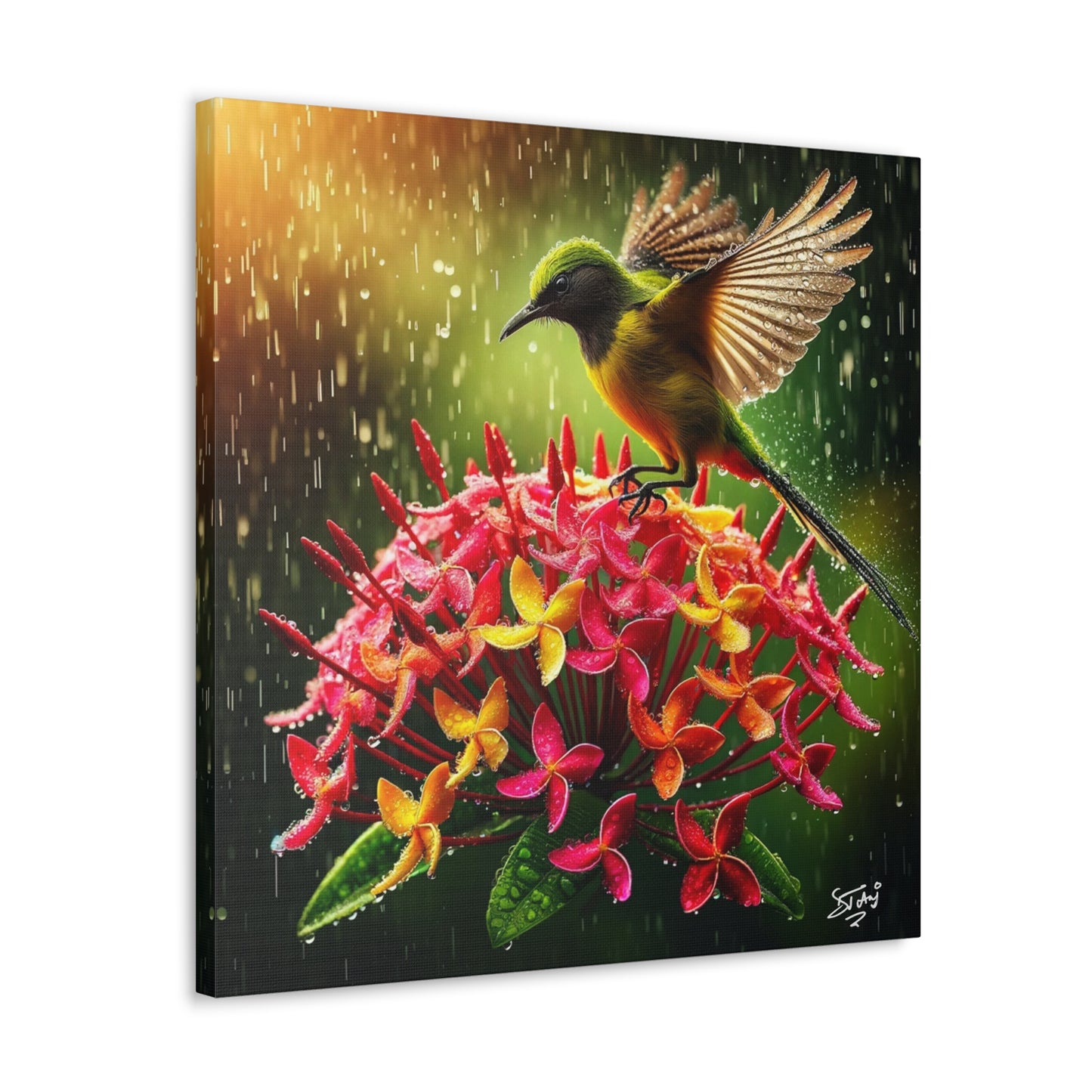 Print#2 of Tropical Bird in the Rain Perched on Ixora Flower, Oil Paint Finish, Caribbean, Tropical, Canvas Gallery Wraps