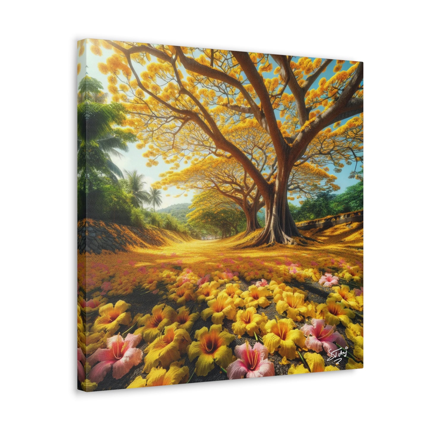 Print of Poui Trees on a sunny day in the Caribbean, Canvas Gallery Wraps