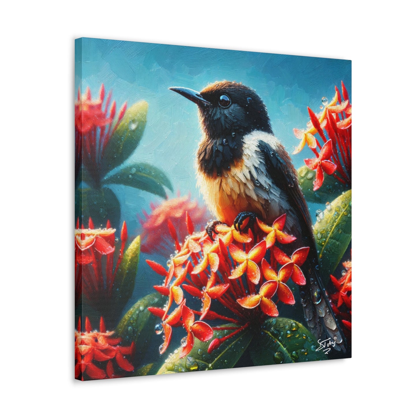 Print of Redstart Perched on Ixora Flower, Oil Paint Finish, Caribbean, Tropical, Canvas Gallery Wraps