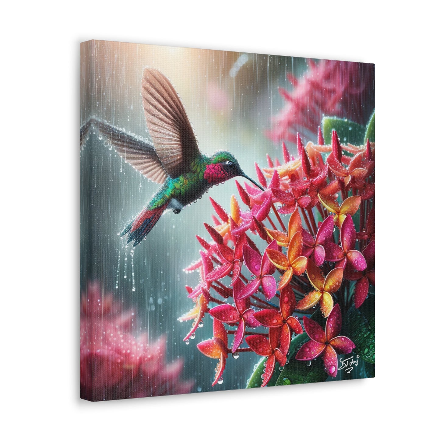 Print of Hummingbird in the Rain Hovering over Ixora Flower, Oil Paint Finish, Caribbean, Tropical, Canvas Gallery Wraps